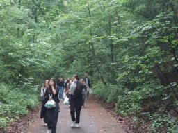 4479838029230286996250793674722628978462792n